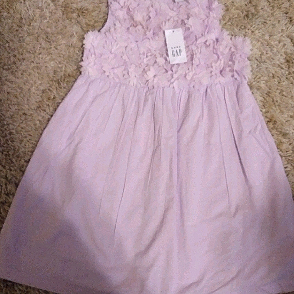 NWT Baby Gap Kids Dress